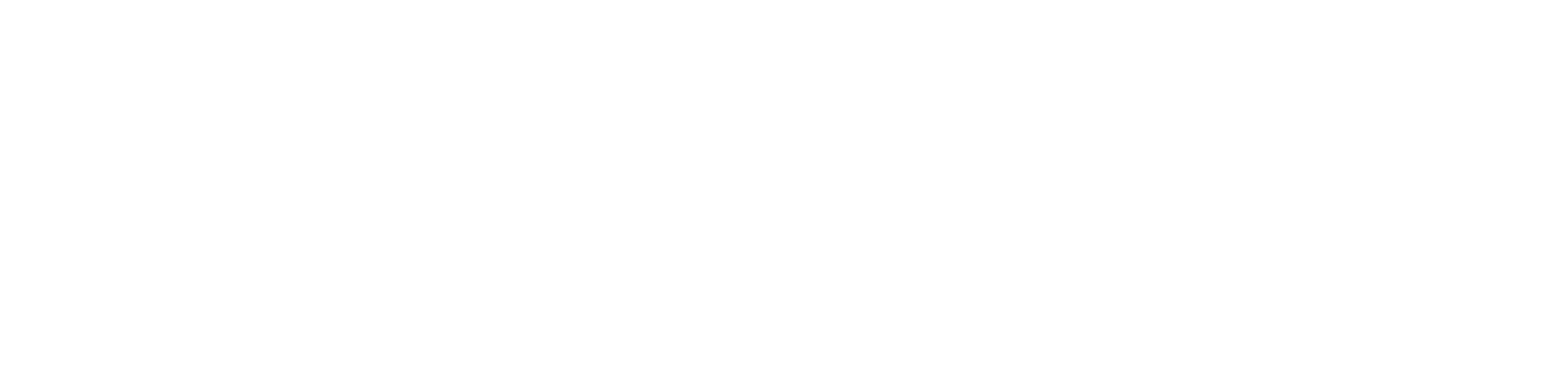 andye-white-logo